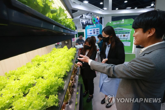 스마트팜 재배기. [연합뉴스]